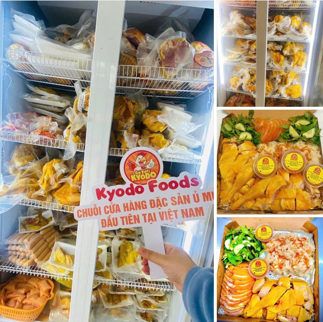 Khởi nghiệp với Kyodo Foods – mô hình kinh doanh đặc sản gà ủ muối độc đáo, an toàn và bền vững.